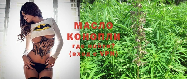 индика Новодвинск